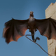 Illustration for article titled All the secrets, reveals and new characters hidden in 3 new Game of Thrones trailers
